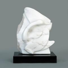 Avocet 7