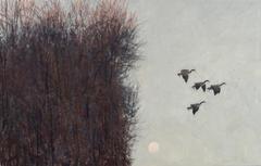 Moon Rising 8