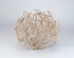 Tumbleweed