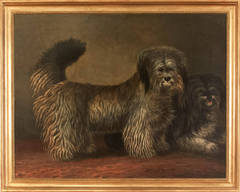Skye Terriers, Dogs