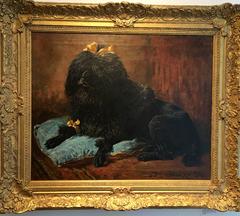 Recumbent Poodle on a Blue Pillow, 1895