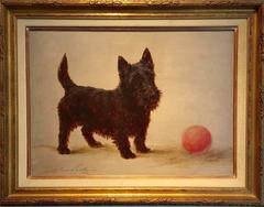 Scottish Terrier with a Red Ball, 1905