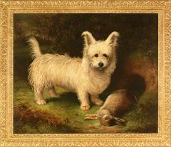 Wheaten Skye Terrier, 1877