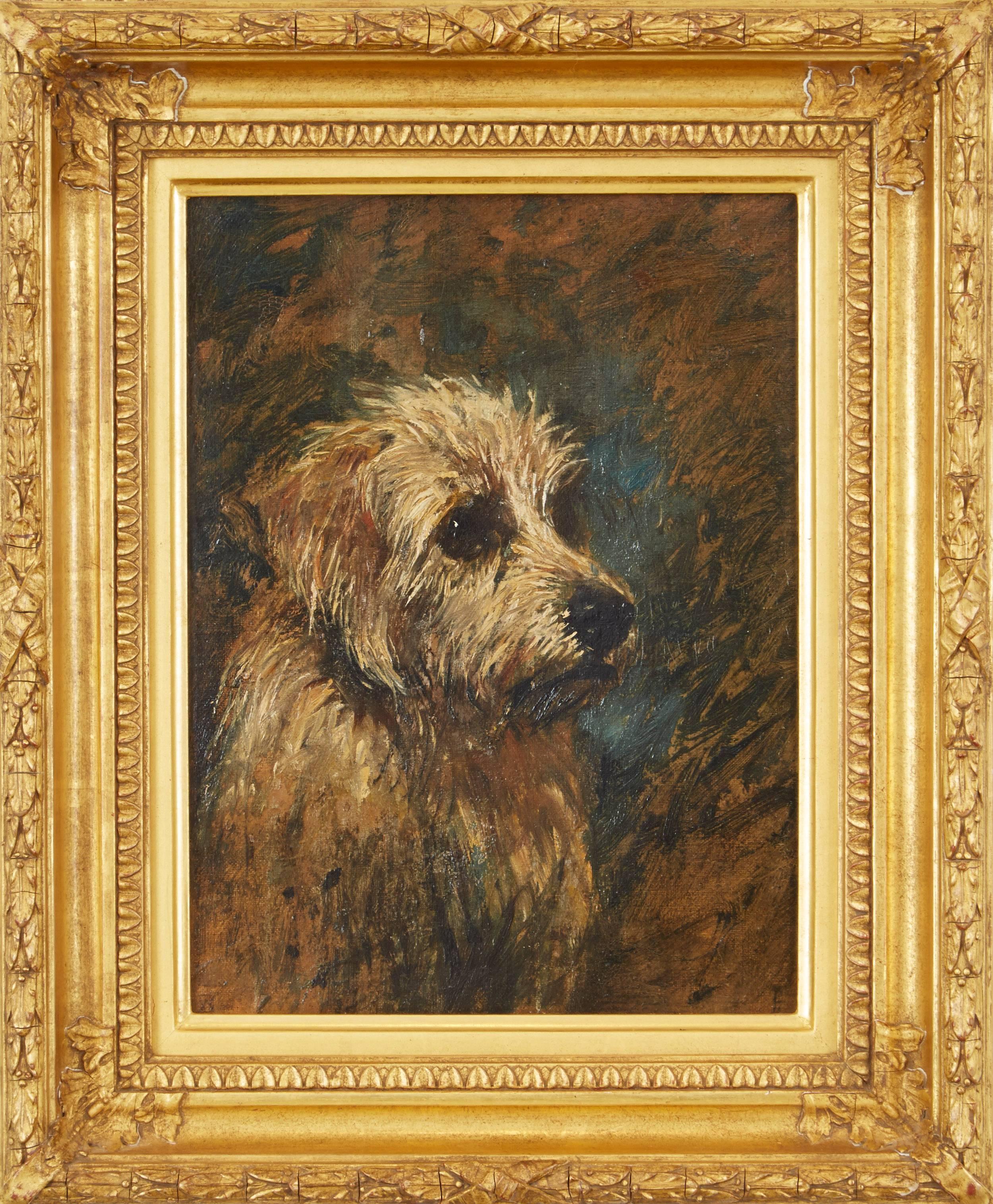 John Emms Animal Painting - Head Study of a Mustard Dandie Dinmont Terrier