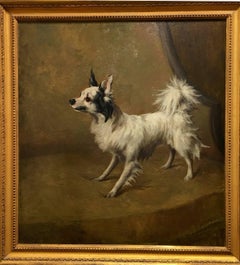 Antique Papillon on a Chair, 1880