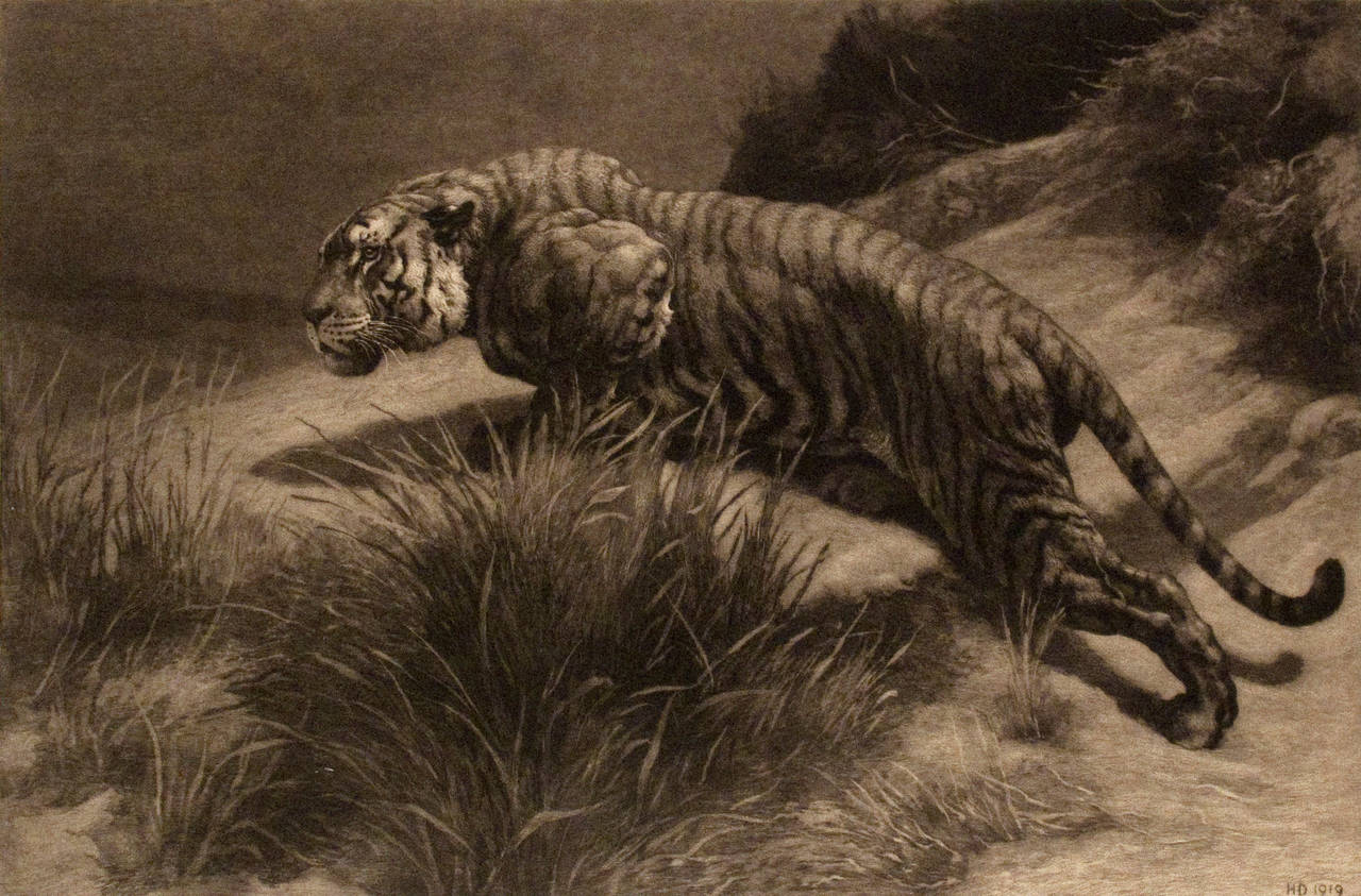 Herbert Dicksee Animal Print - Startled, 1919