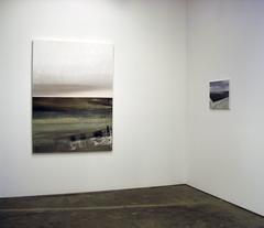 Katherine Taylor, installation view, "Firmament", 2012, Marcia Wood Gallery