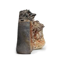 Wood-fired Vase 6