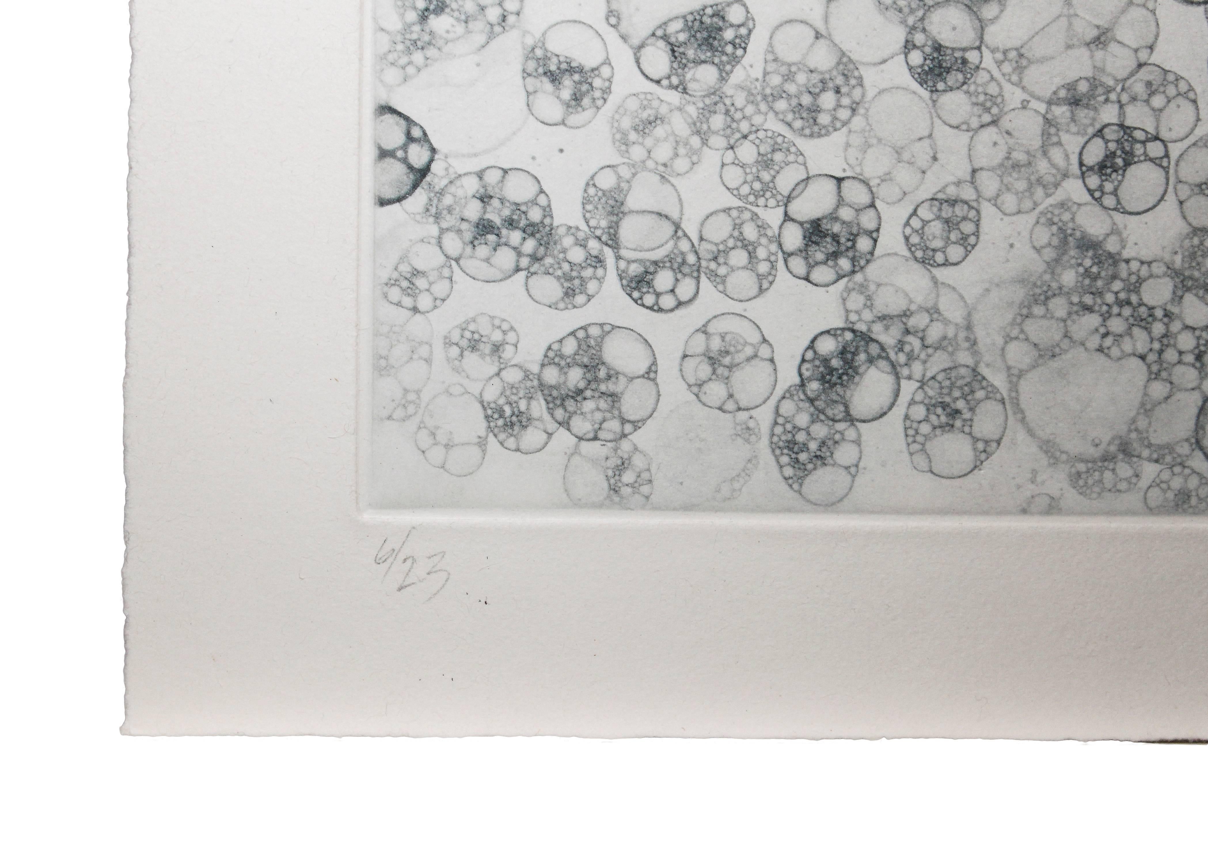 Senza titolo 1 - Print Contemporaneo di Tara Donovan