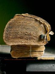 Darger's Telephone Book 3