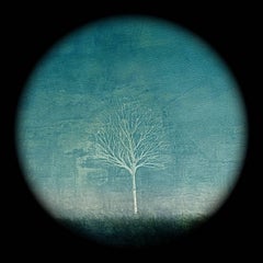 Árbol-Edición limitada de 10 iPad Dibujo sobre papel aguafuerte alemán 20 X 20