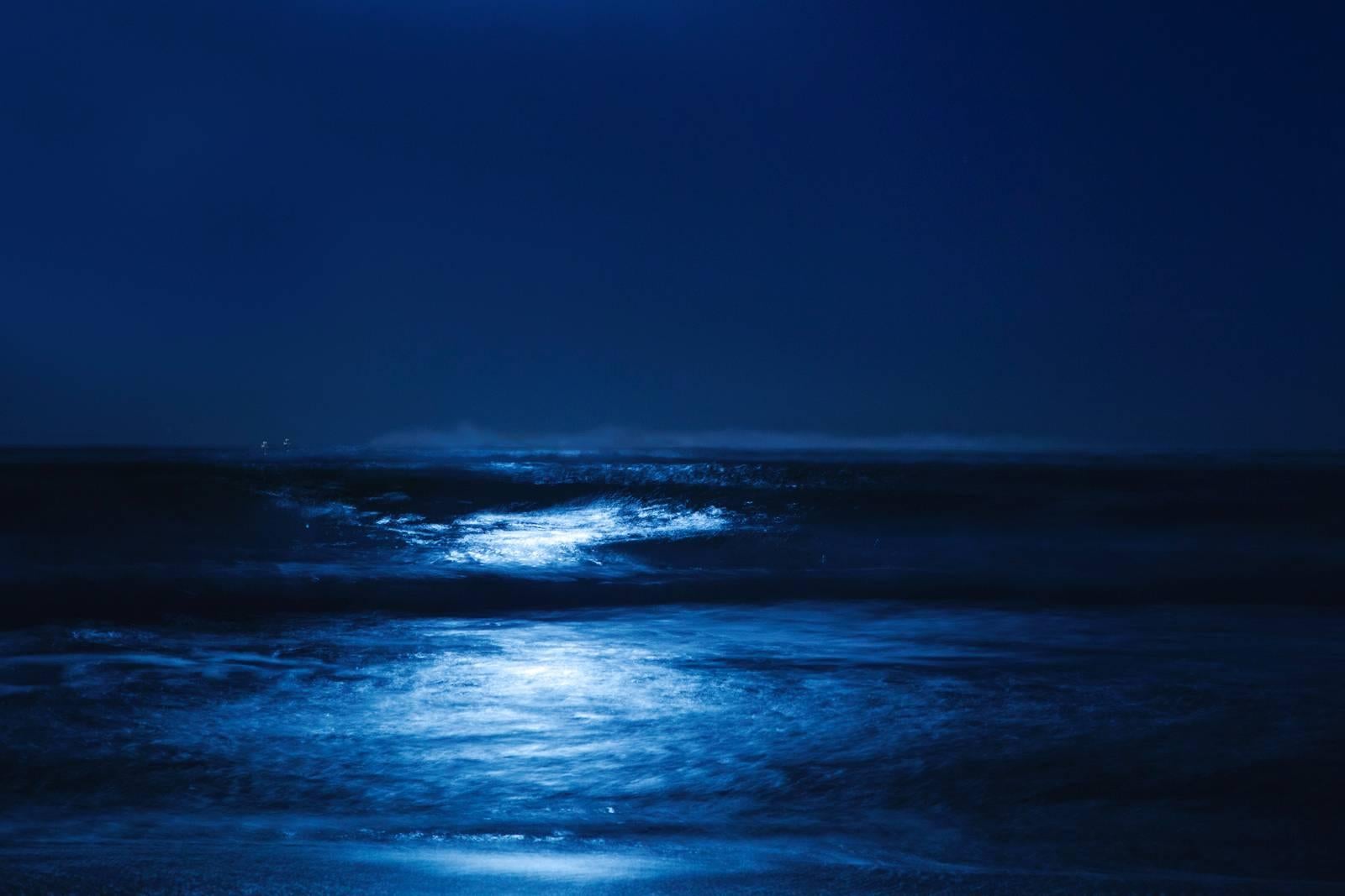 Cheryl Maeder Landscape Photograph - Blue Moonlight
