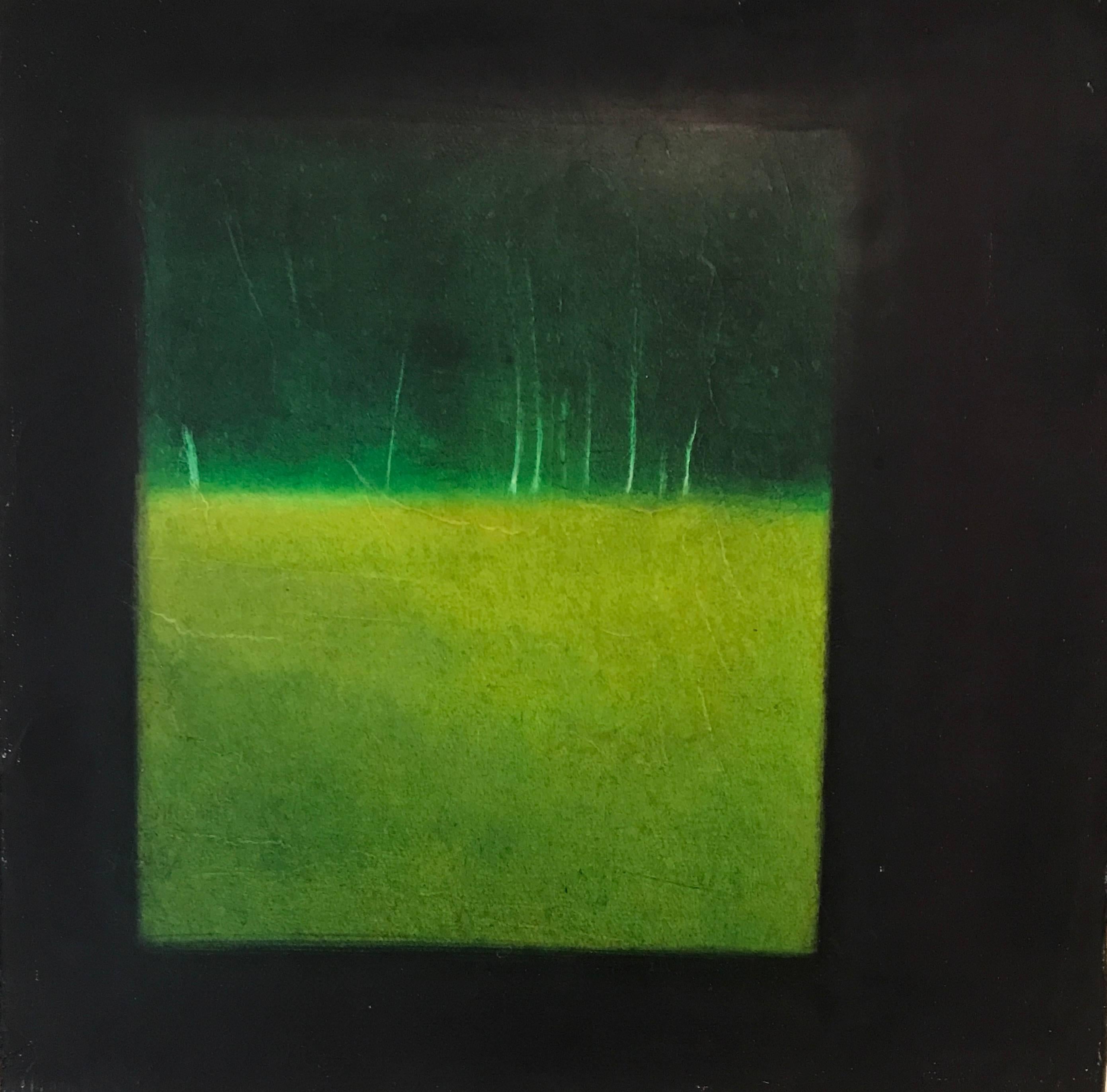 Sebastian Spreng Landscape Painting - Green Horizon 10 x 10 Oil on Canvas