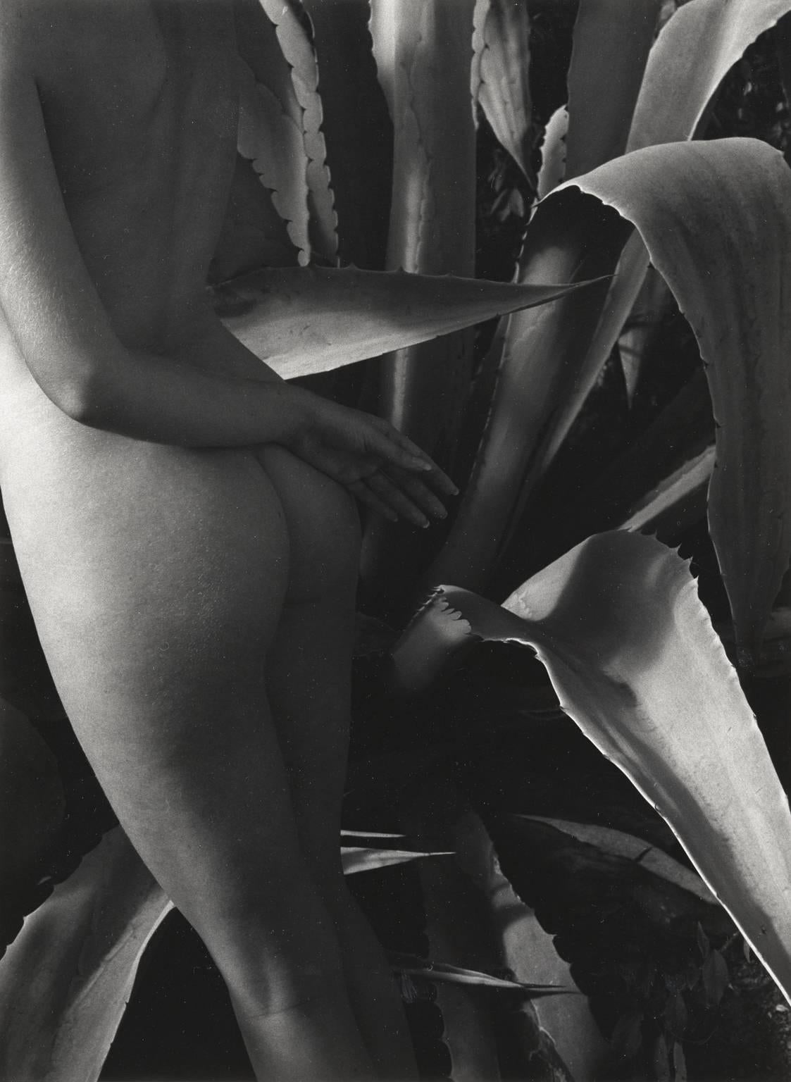 Ron Baxter Smith Black and White Photograph - St. Barts Nude I