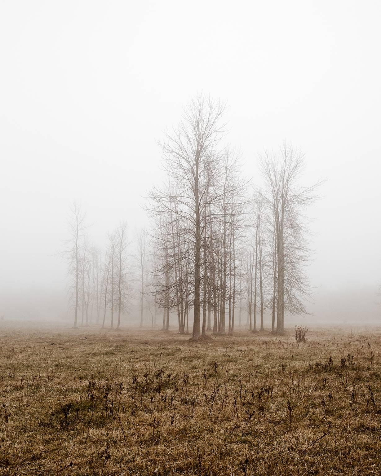 Chris Thomaidis Landscape Photograph - Fog I