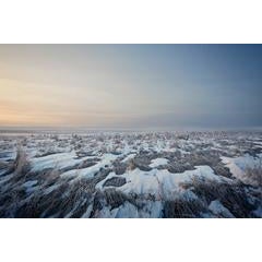 Winter Field 9