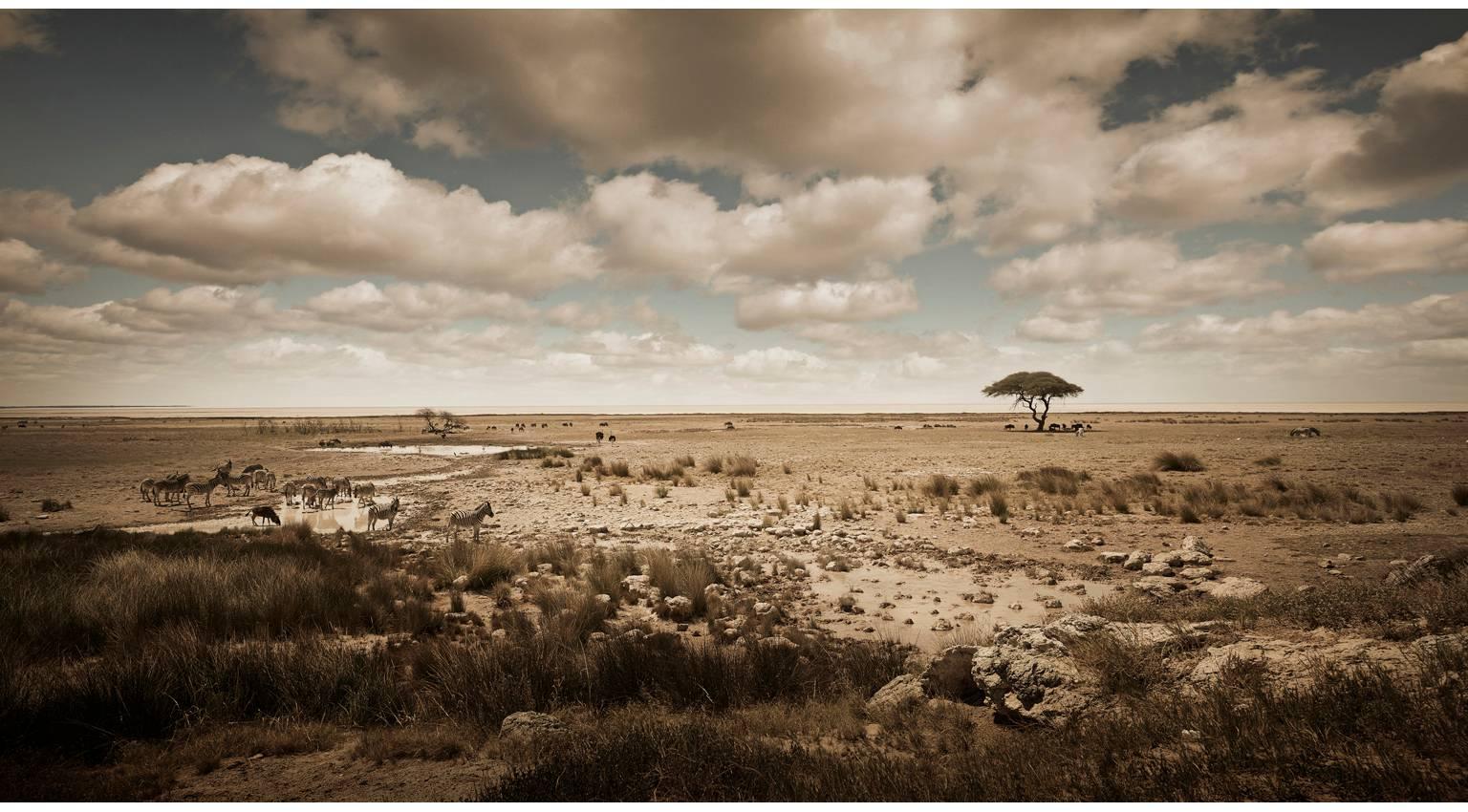Chris Gordaneer Color Photograph - Etosha, Namibia