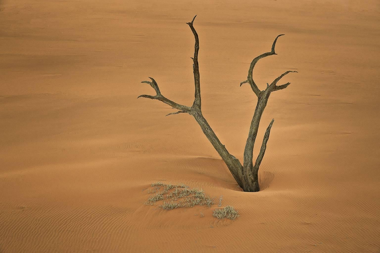 Chris Gordaneer Color Photograph - Dead Vlei, Namibia