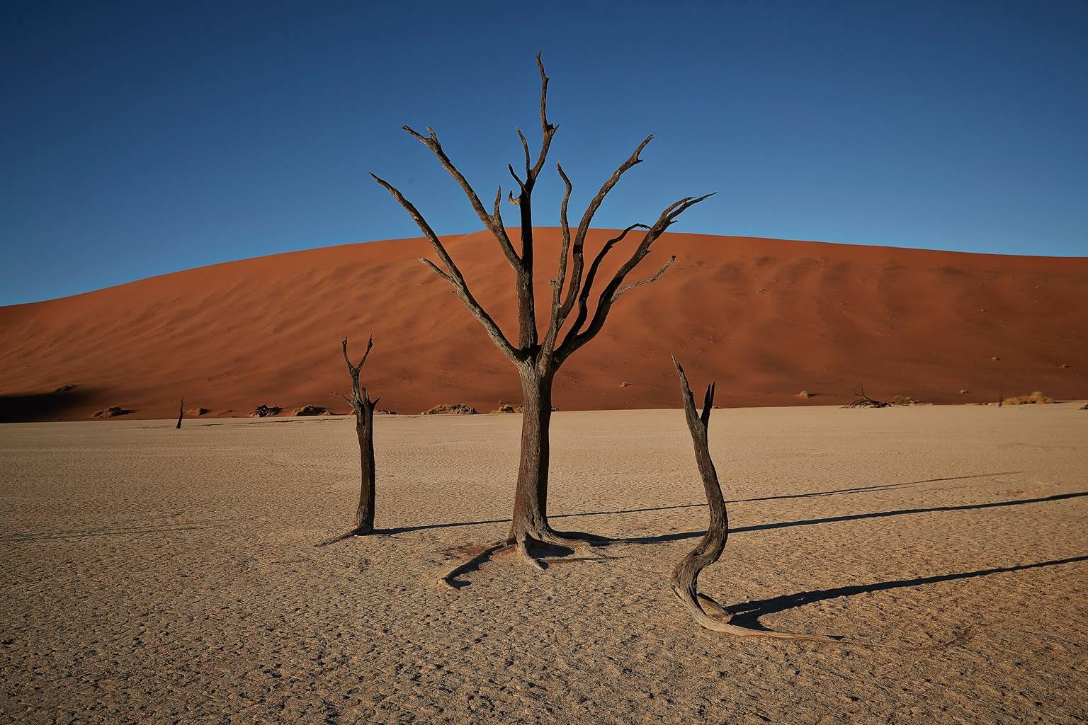 Chris Gordaneer Color Photograph - Dead Vlei 2, Namibia