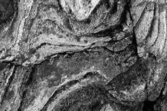 Rocks and Lichens No.2, Georgian Bay