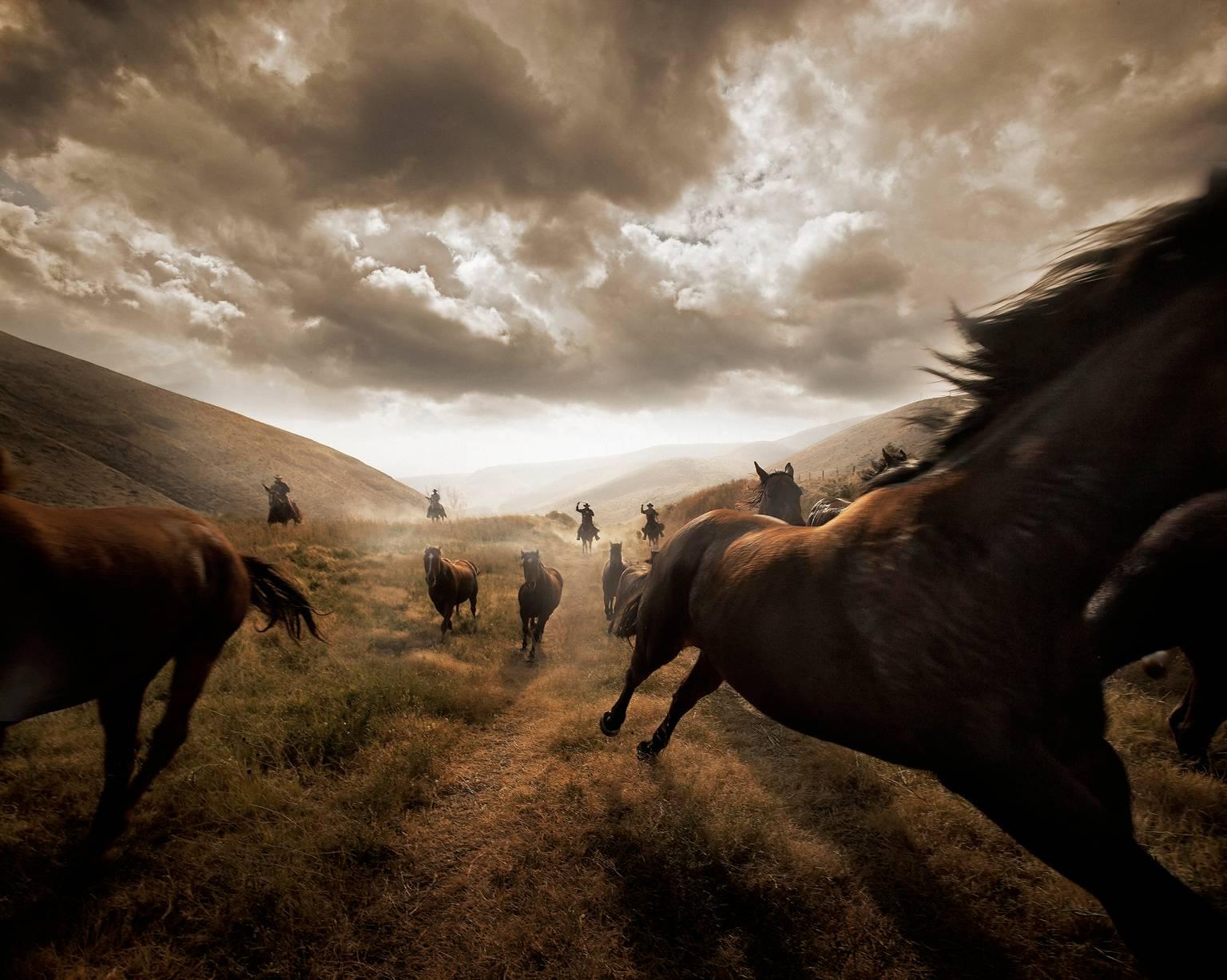 Chris Gordaneer Landscape Photograph - Horses