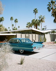 Classic Fins