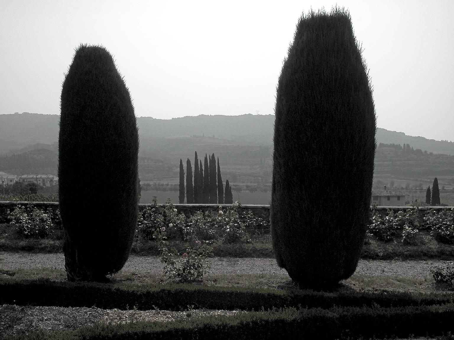 Douglas Busch Black and White Photograph - Hedges at Dusk, Italy