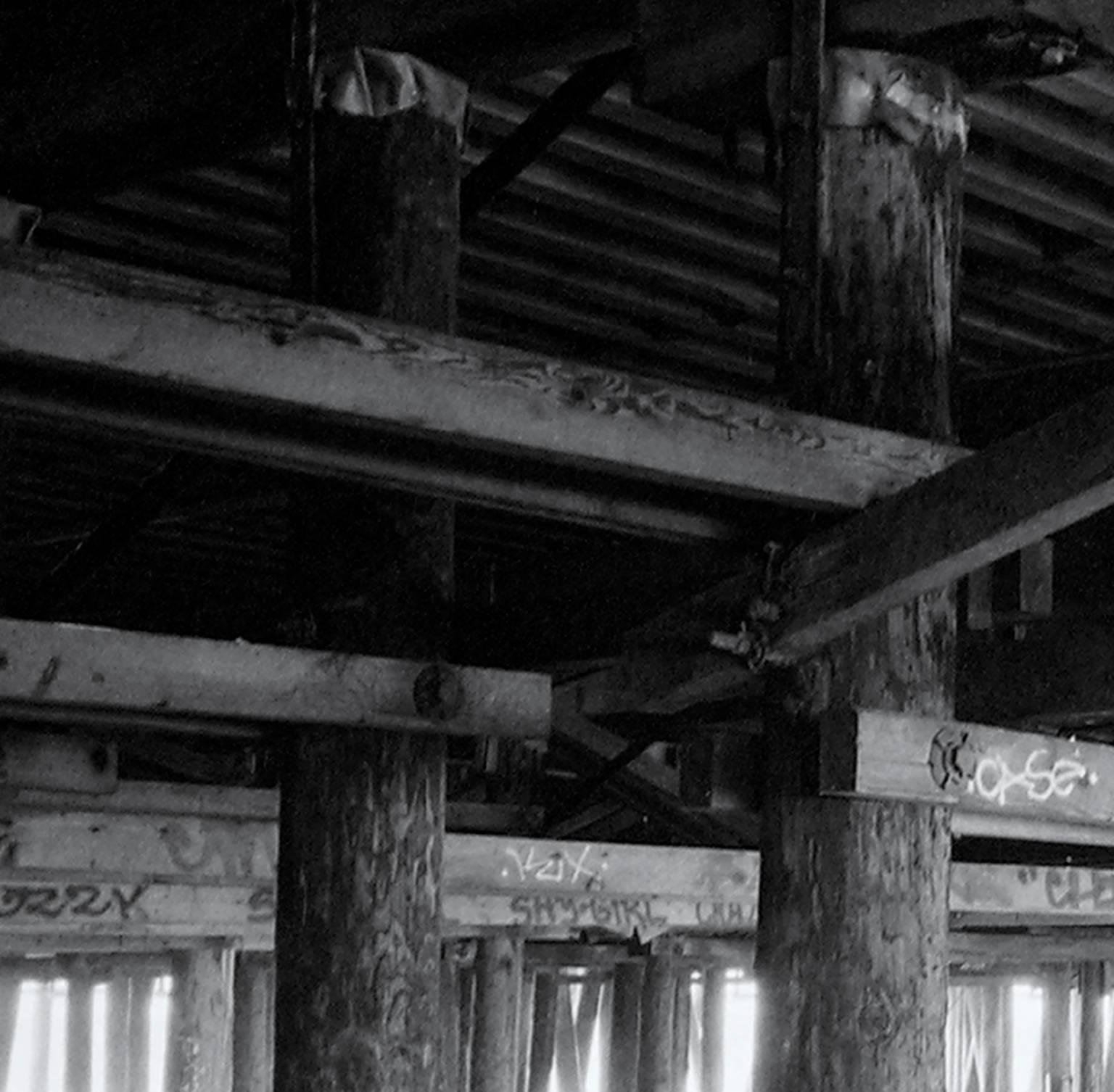 Under the Santa Monica Pier - Photograph by Douglas Busch