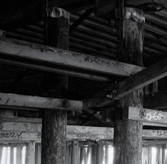 Under the Santa Monica Pier