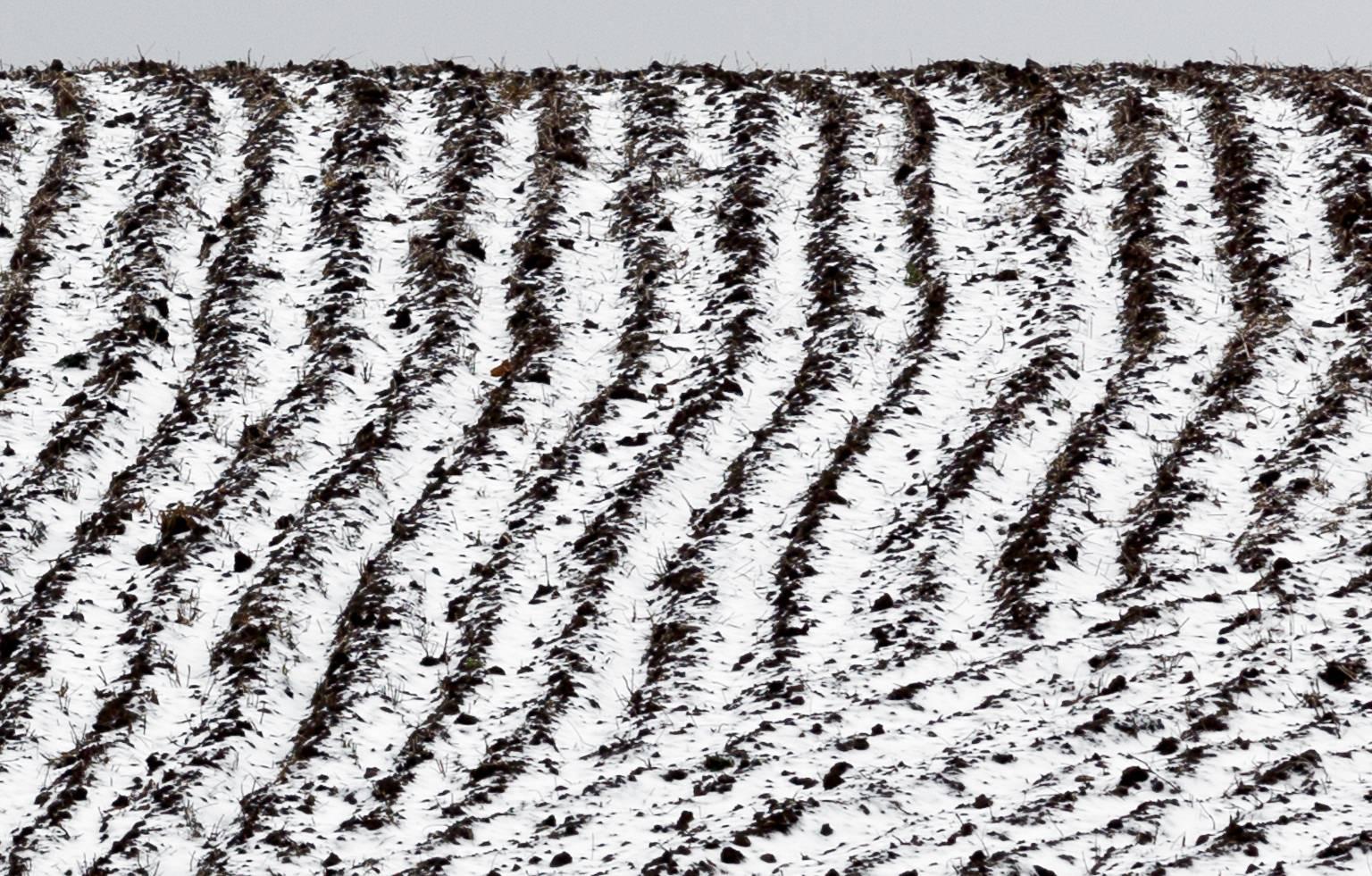 Ploughed Field No. 3 - Photograph by Chris Thomaidis