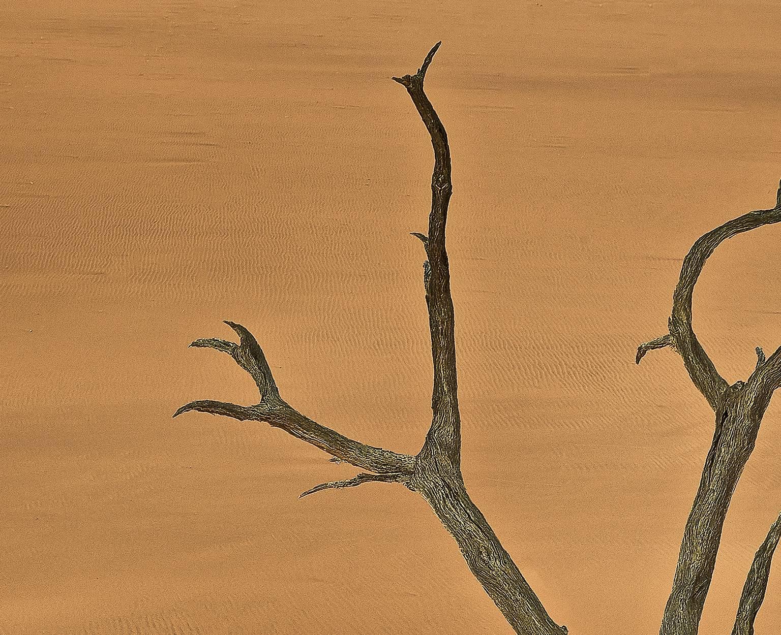 Dead Vlei, Namibia - Photograph by Chris Gordaneer