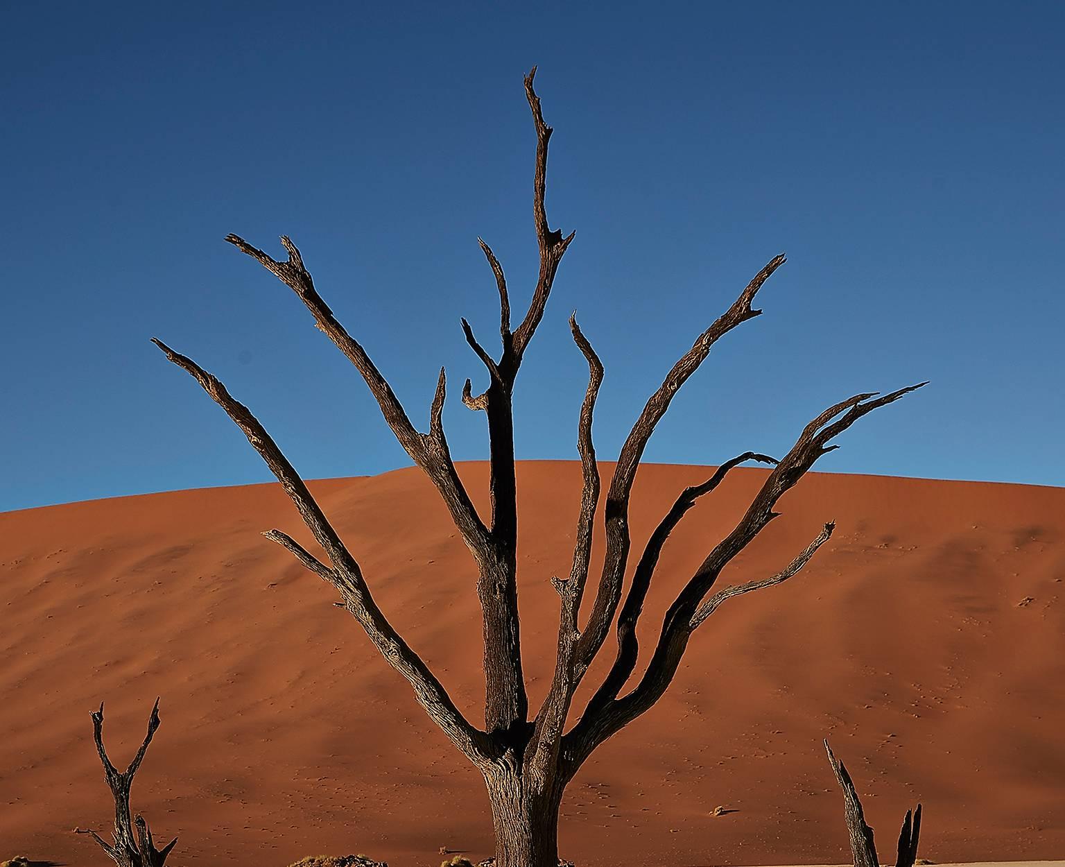 Dead Vlei 2, Namibia - Photograph by Chris Gordaneer