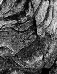 Rocks and Lichens No.2, Georgian Bay