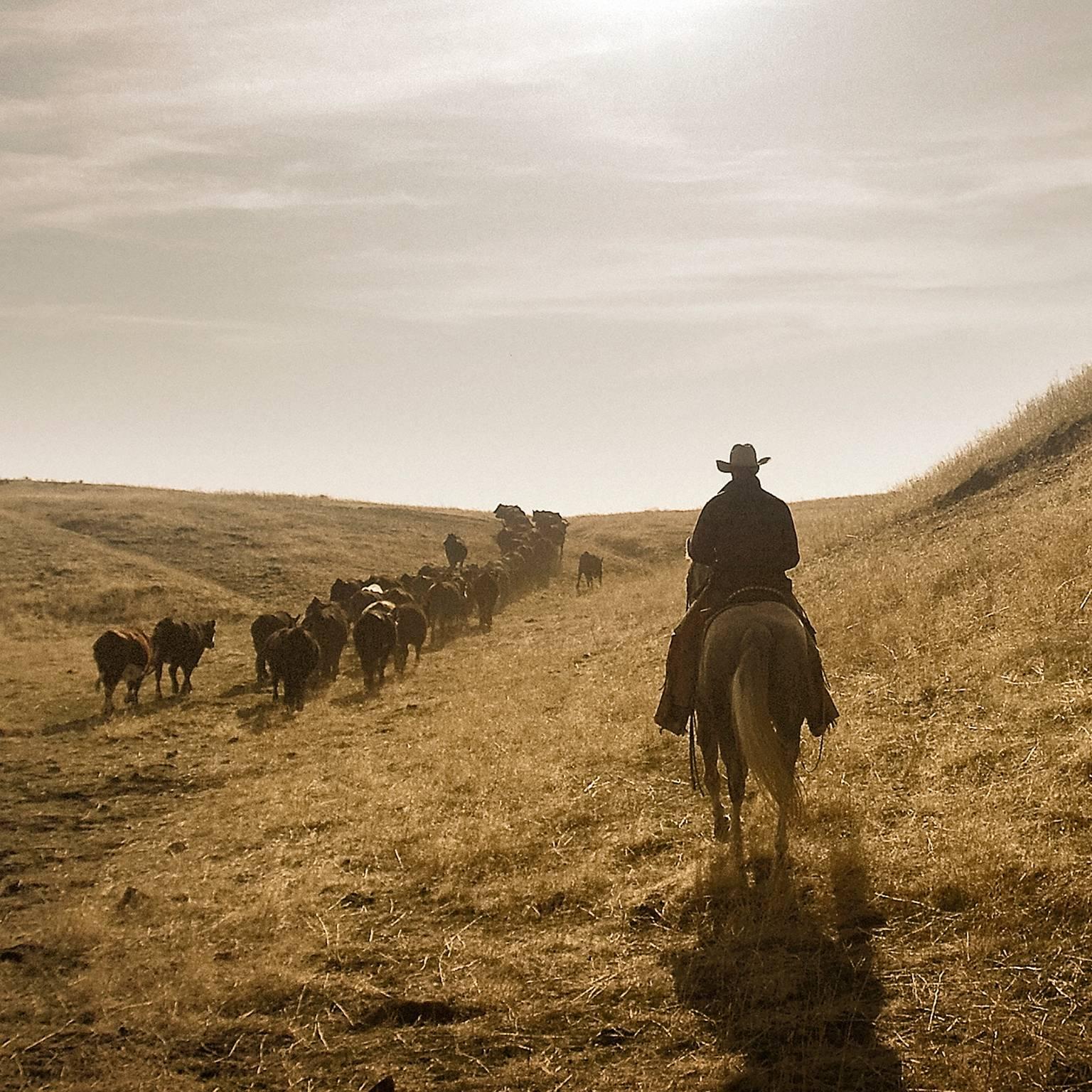 Cowboys No. 3 - Photograph by Chris Gordaneer