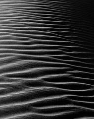 Sand Dunes Series #5