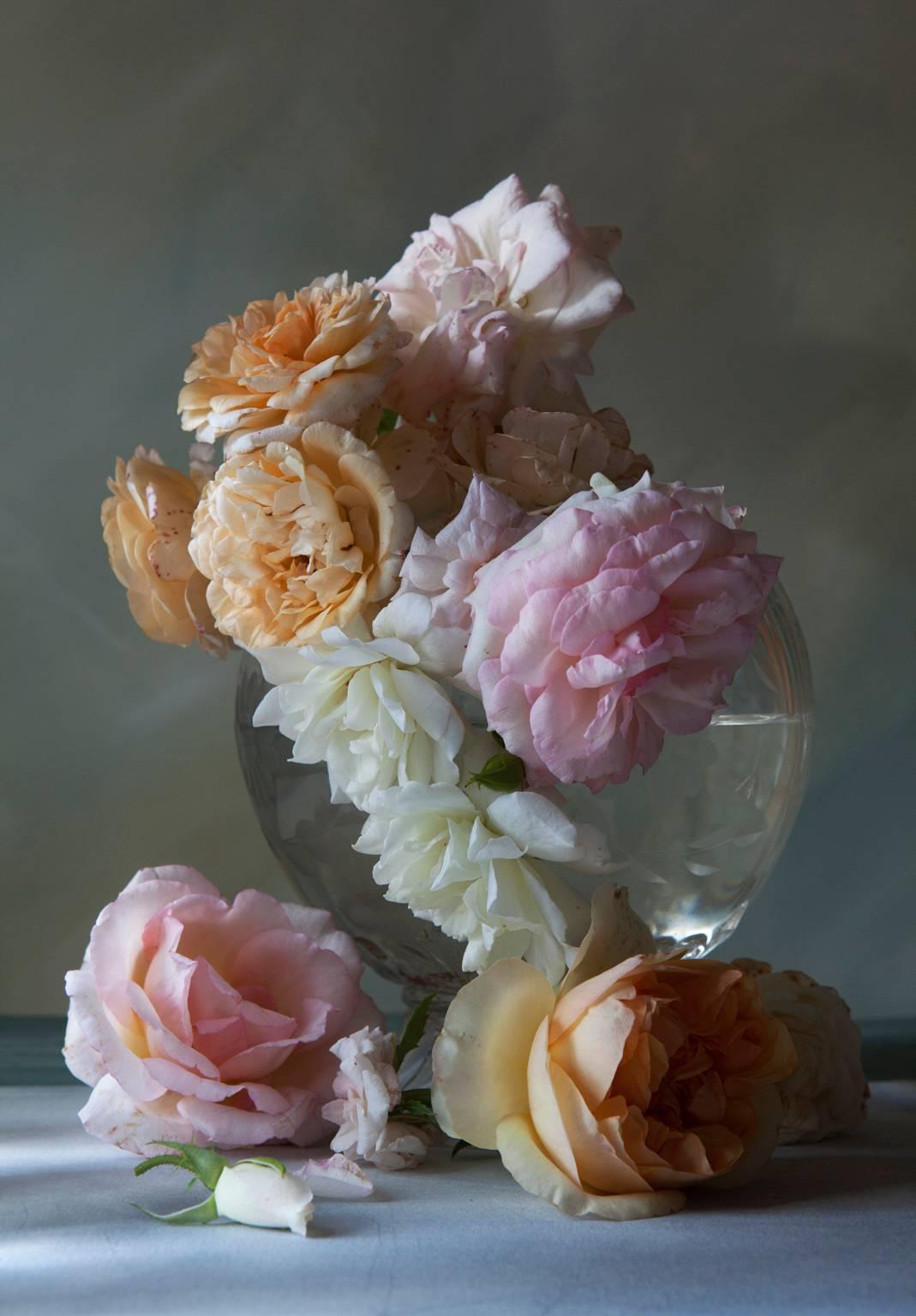 Ron Baxter Smith Still-Life Photograph - Roses VI