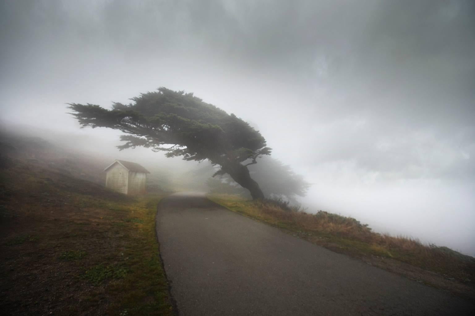 George Simhoni Color Photograph - California Fog