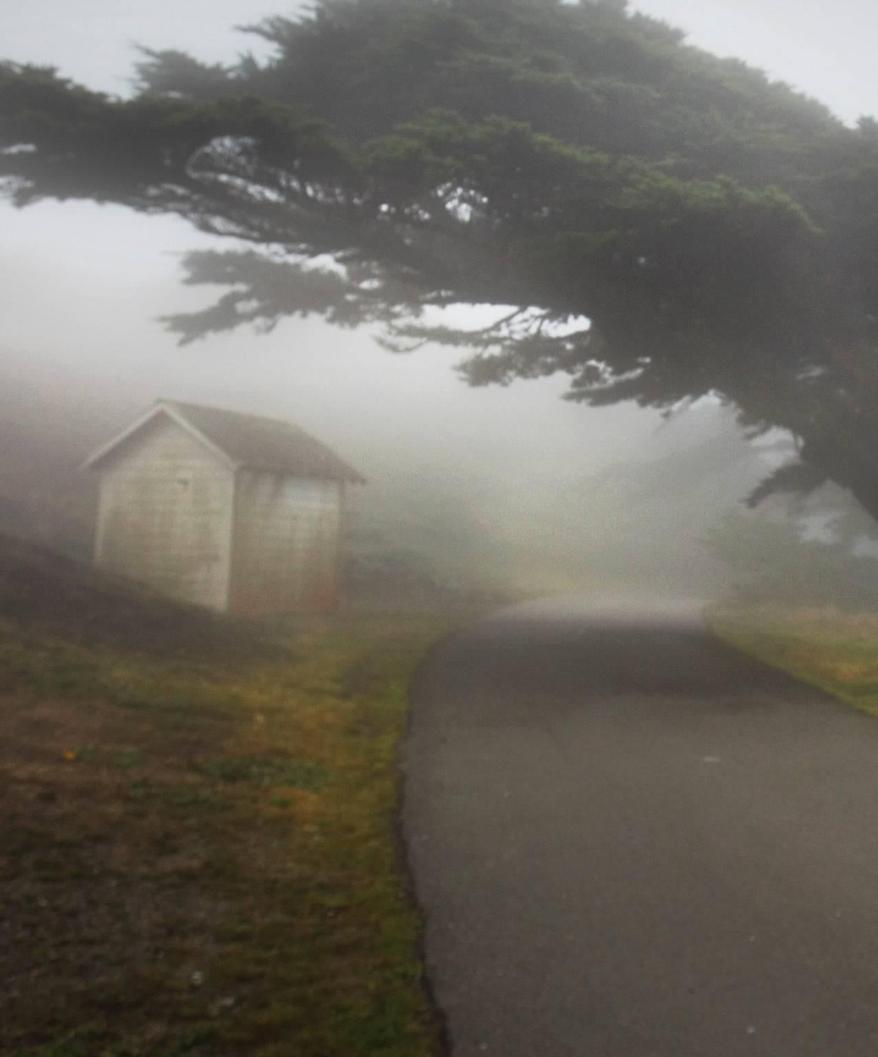 California Fog - Photograph by George Simhoni