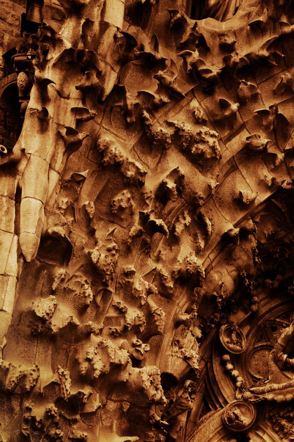 Gaudi Cathedral - Brown Landscape Photograph by Ron Baxter Smith