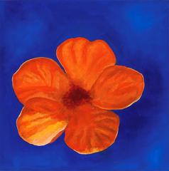 Flower Portrait 2 10