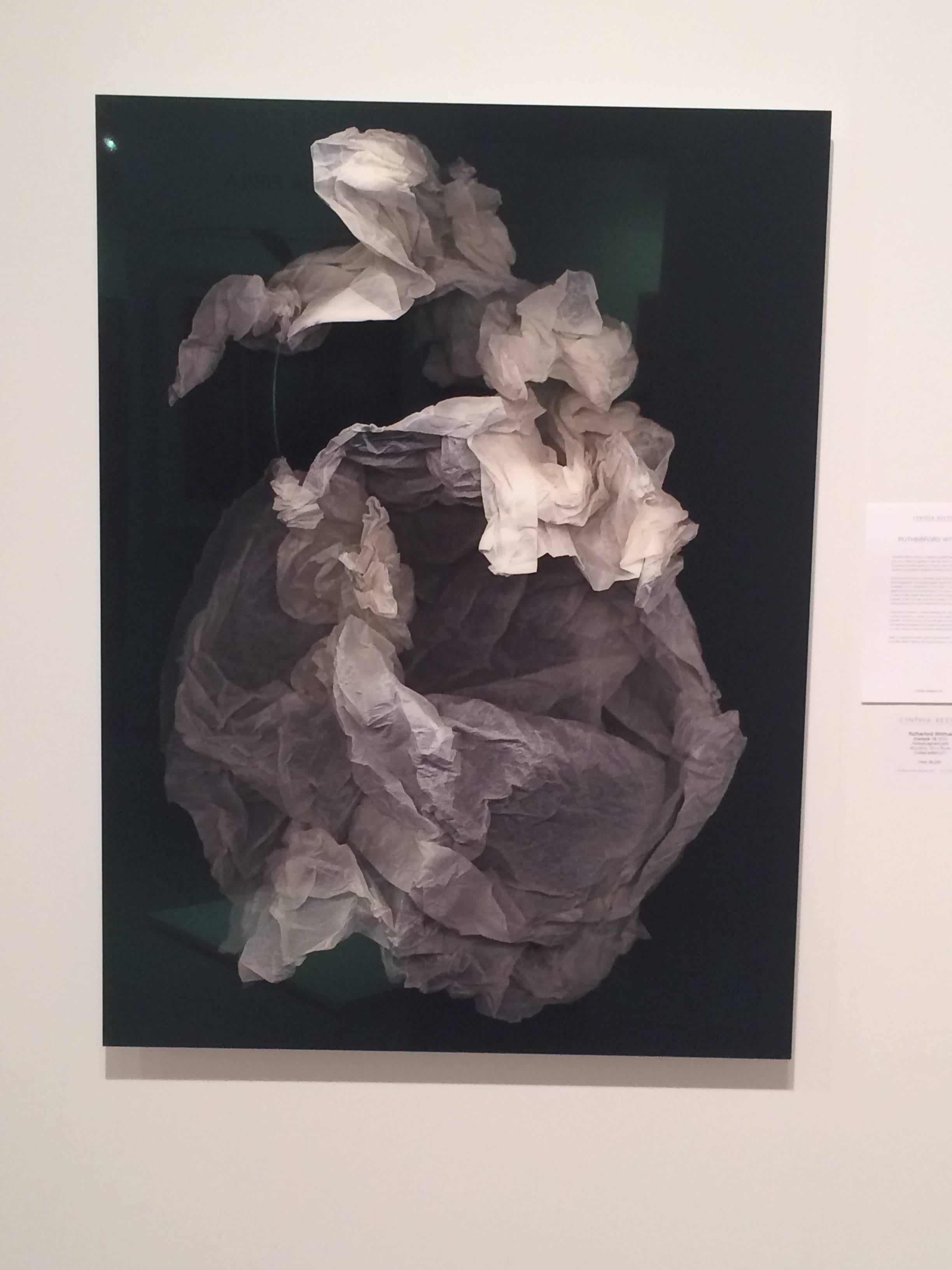 Crumple 22 - Contemporary Photograph by Rutherford Witthus