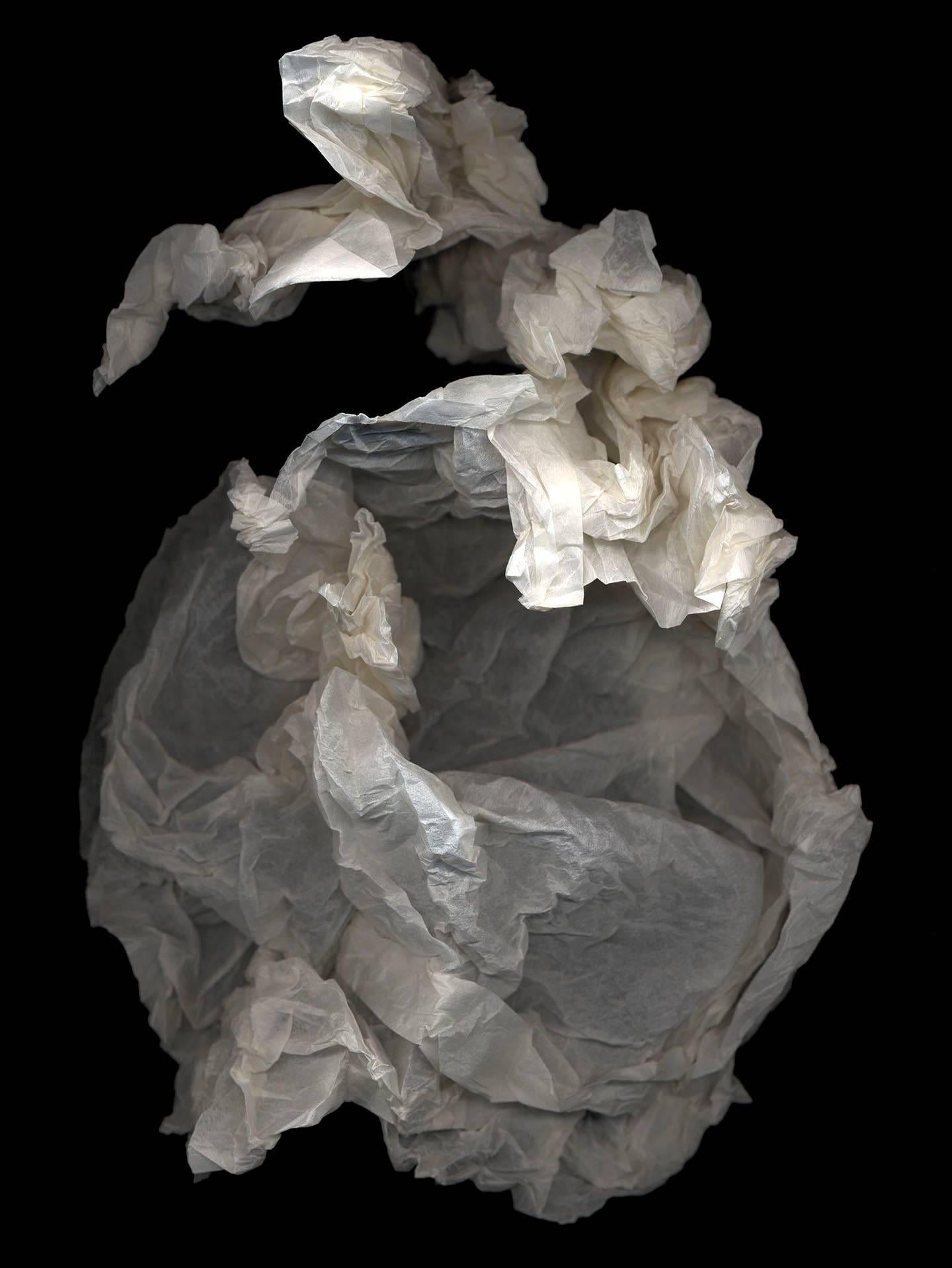 Rutherford Witthus Still-Life Photograph - Crumple 22