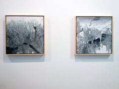 Untitled 2-06