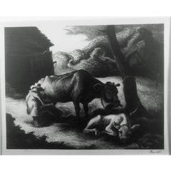 WHITE CALF 10