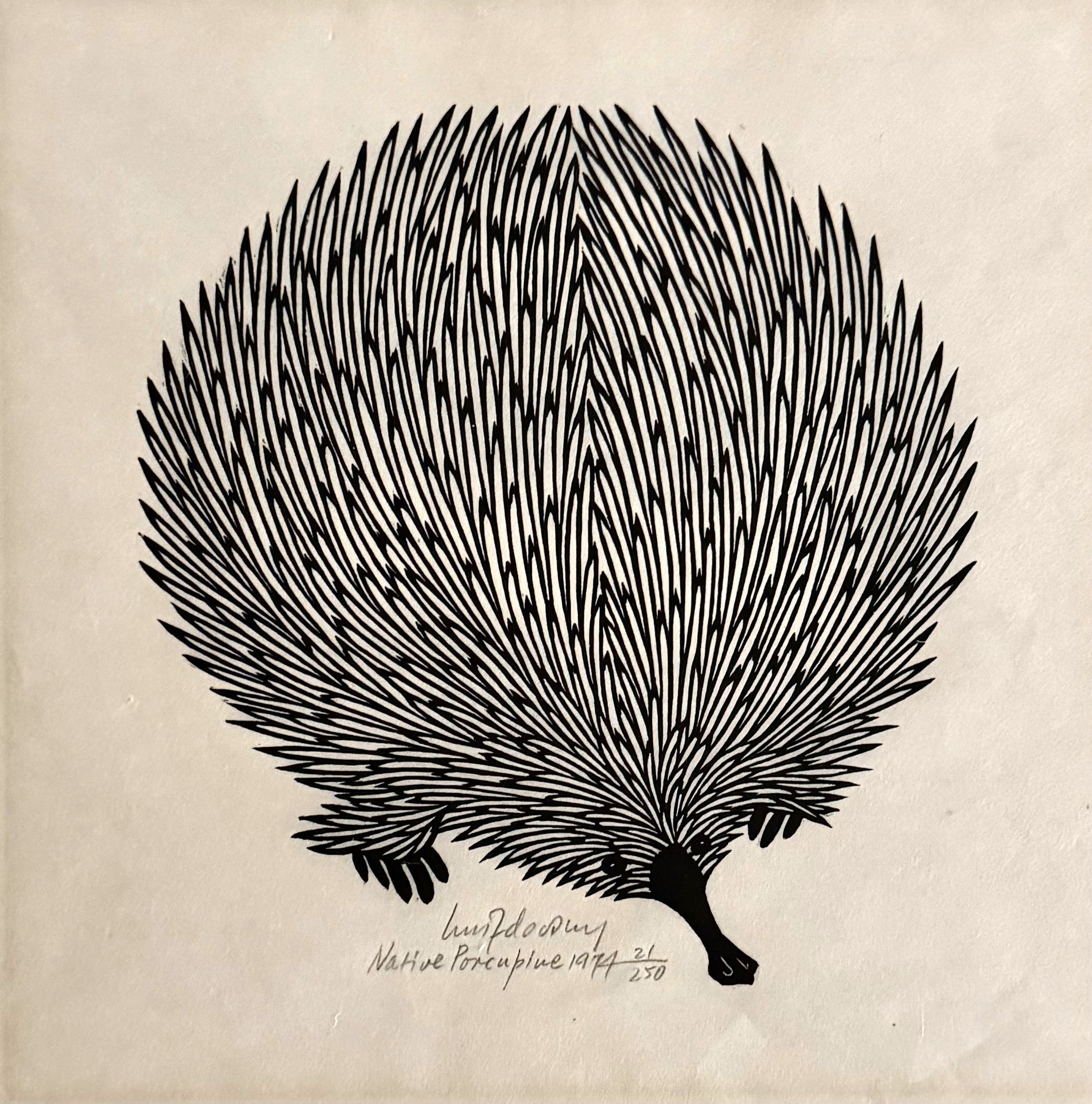 Jacques Hnizdovsky Animal Print - NATIVE PORCUPINE