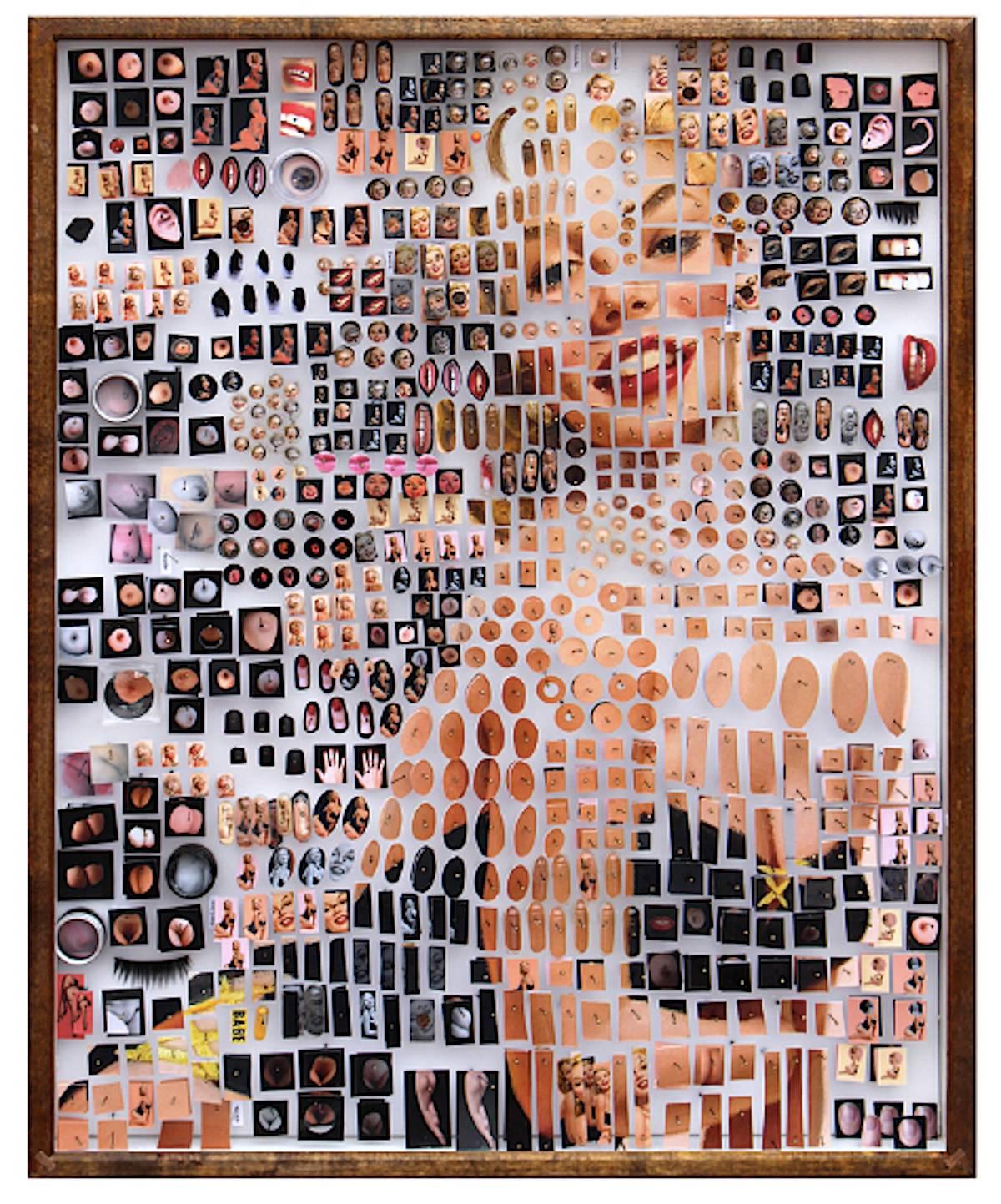 Blonde Specimen - Mixed Media Art by Michael Mapes