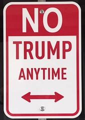 No Trump Anytime Sign (actual sign hung by Trump Wall st)