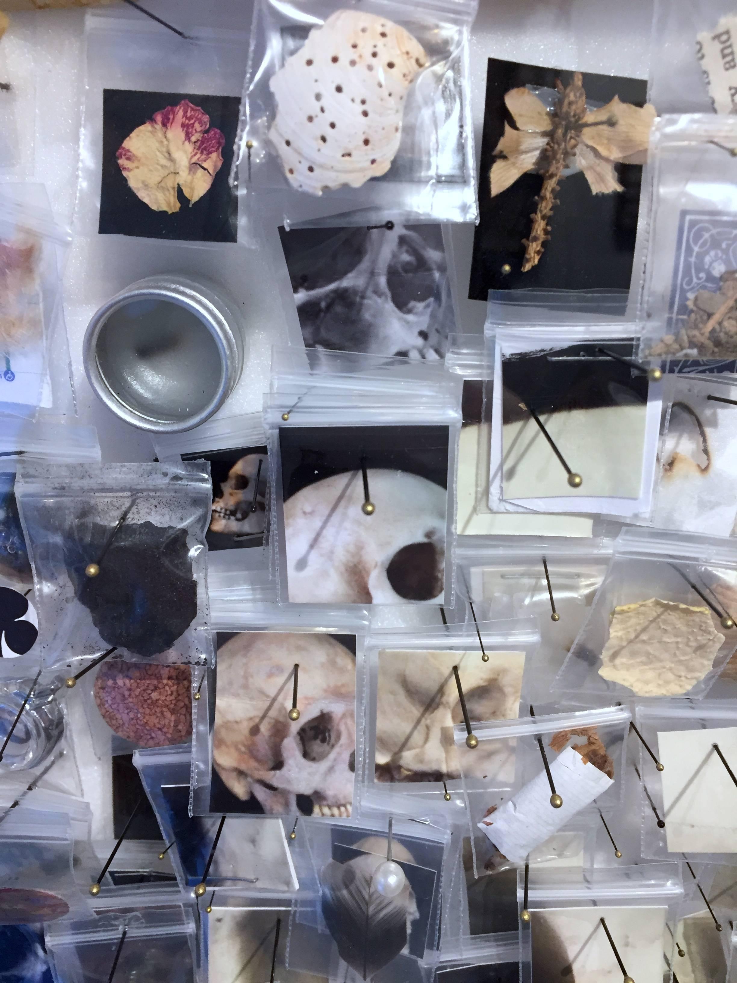 Specimen v 12 - archival prints, insect pins, plastic bags, thumbtacks, wood, cardstock, botanical material, shells, wax, tobacco, bones, dirt, saw dust, feathers, sand, resin, playing cards, cork, matches, mirrors.

The NY artist examines new