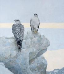 Northern Vigil Gyrfalcons
