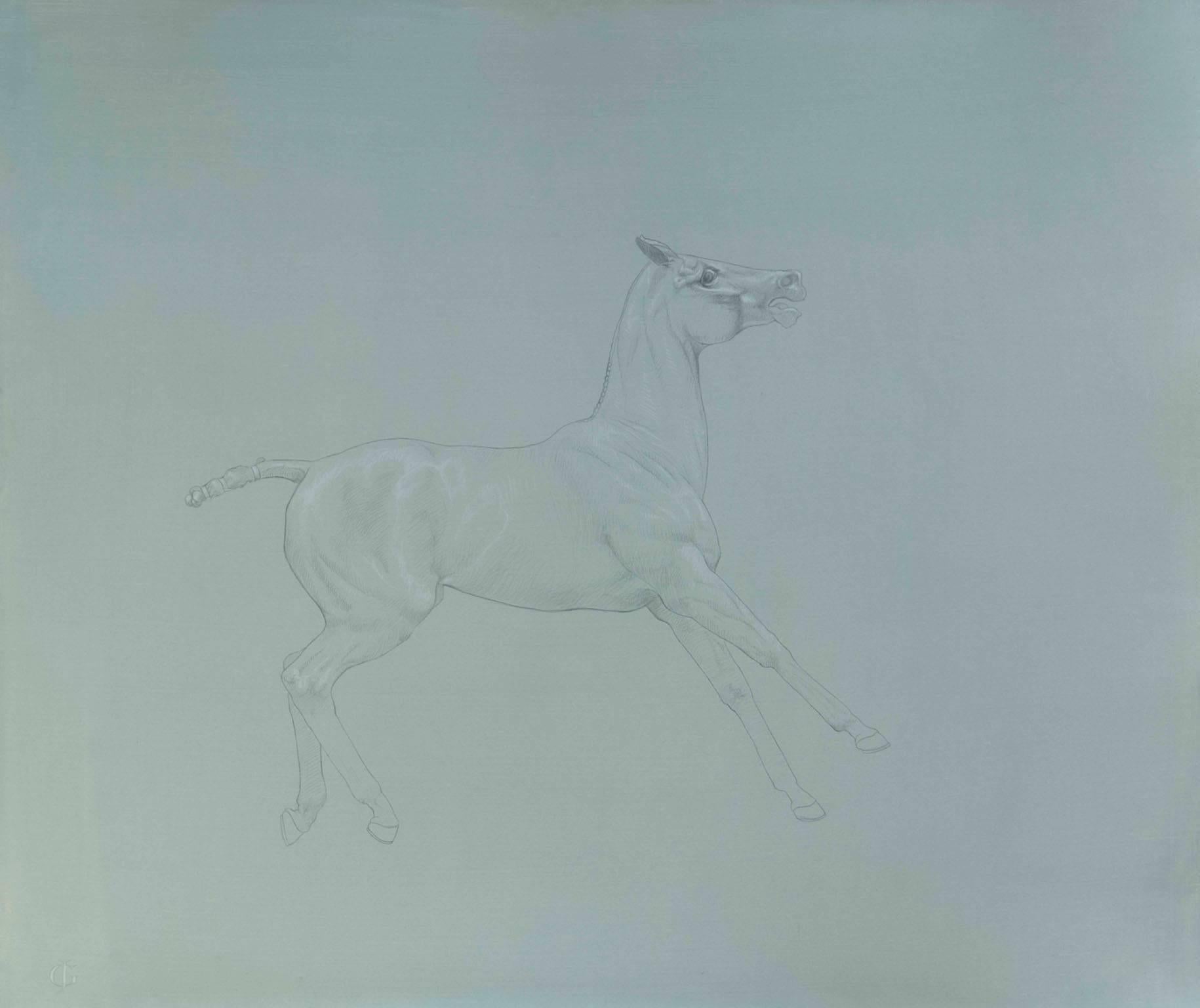 James Gillick Animal Art - Halting Polo Pony